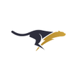 Do vpn-Secure vpn Proxy icon
