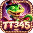프로그램 아이콘: TT345Meld