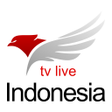 程序图标：Indonesia Live