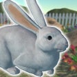 Ikon program: Rabbits Friends