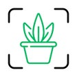 Ikon program: Plant ID - Identify Plant…