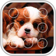 プログラムのアイコン：Puppy Passcode Lock Scree…