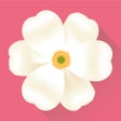 程序图标：Period tracker calendar