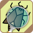 程序图标：Automatic insect identifi…