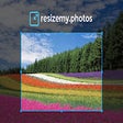 プログラムのアイコン：resizemy.photos