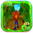 Crash Rush Bandicoot - The Adventures Game