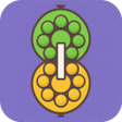 Icoon van programma: Slider Sort Ball