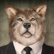 Icoon van programma: Which Animal Are You - Pe…