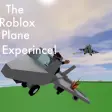 your normal airplane experince