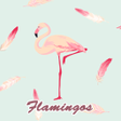 أيقونة البرنامج: Cute Wallpaper Flamingos …