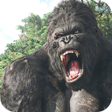 プログラムのアイコン：King kong sound voice roa…