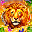 程序图标：Gift Safari