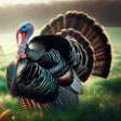 Icon of program: Turkey Hunting Calls