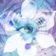 プログラムのアイコン：Blue Iris