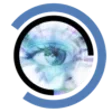 Icon of program: Blue Iris