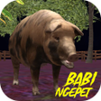 Icon of program: Berburu Babi Ngepet 3D In…
