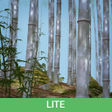 Ikona programu: Bamboo Forest 3D Live Wal…