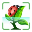 أيقونة البرنامج: Bug Identifier Spider Ins…