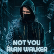 Ikon program: Not You Alan Walker Offli…