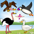 プログラムのアイコン：Birds Game for Toddlers P…