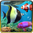 程序图标：Aquarium live wallpaper