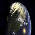 プログラムのアイコン：Nuclear War Simulator