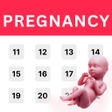 أيقونة البرنامج: Pregnancy Tracker  Calcul…