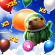 Ikon program: TapCloud Marmot