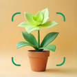 Icon of program: Plante: AI Plant Identifi…