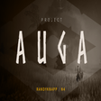 Project Auga