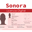 程序图标：Licencia Digital Sonora