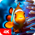 Icon of program: Fish Wallpapers 4K