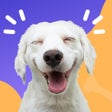 ไอคอนของโปรแกรม: Dog whistle - pet auto cl…
