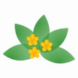 プログラムのアイコン：Medicinal Herbs Info
