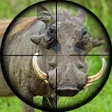 Ícone do programa: Wild Hunt - Pig Sniper Sh…
