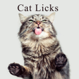 Icon of program: Cute Wallpaper Cat Licks …