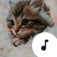 プログラムのアイコン：Kitten Sounds