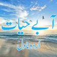 Icon of program: Aab e Hayat by Umera Ahme…