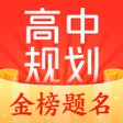 Programikonen: 高途高中规划
