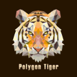 プログラムのアイコン：Polygon Tiger Theme HOME