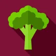 Icon of program: UMC : Pure Veg Indian Rec…