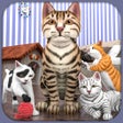 Ícone do programa: Pregnant Little Kitten 3D…