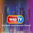程序图标：Wap TV