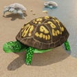 Icoon van programma: Wild Insect Family Life g…