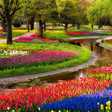 プログラムのアイコン：Garden Wallpapers HD