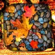 プログラムのアイコン：Autumn Wallpaper Live HD3…