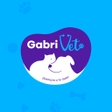 プログラムのアイコン：GabriVet
