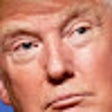 Symbol des Programms: Trump replacer
