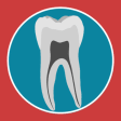 Dental Corpus Primary