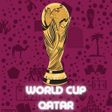 プログラムのアイコン：world cup wallpaper